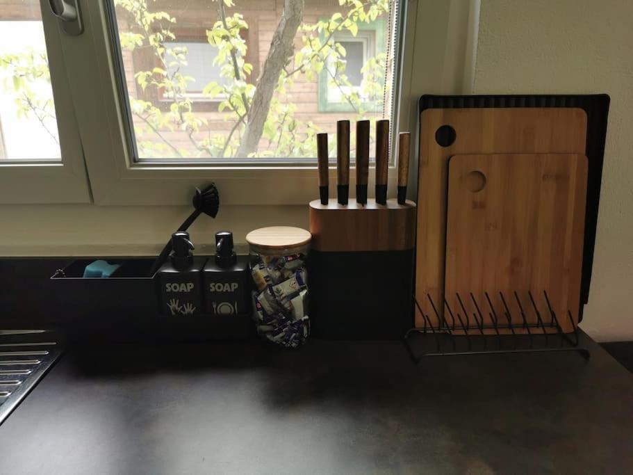 Schones Kleines Studio Mit Sitzplatz, Mitten Im Prattigau Jenaz エクステリア 写真