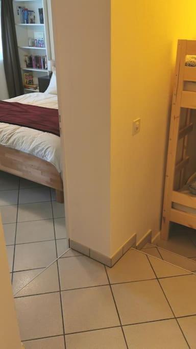 Schones Kleines Studio Mit Sitzplatz, Mitten Im Prattigau Jenaz エクステリア 写真